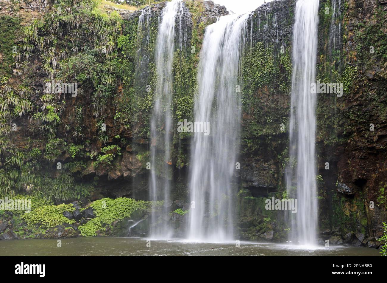 Cliffs and Whangarei Falls - New Zealand Stock Photo