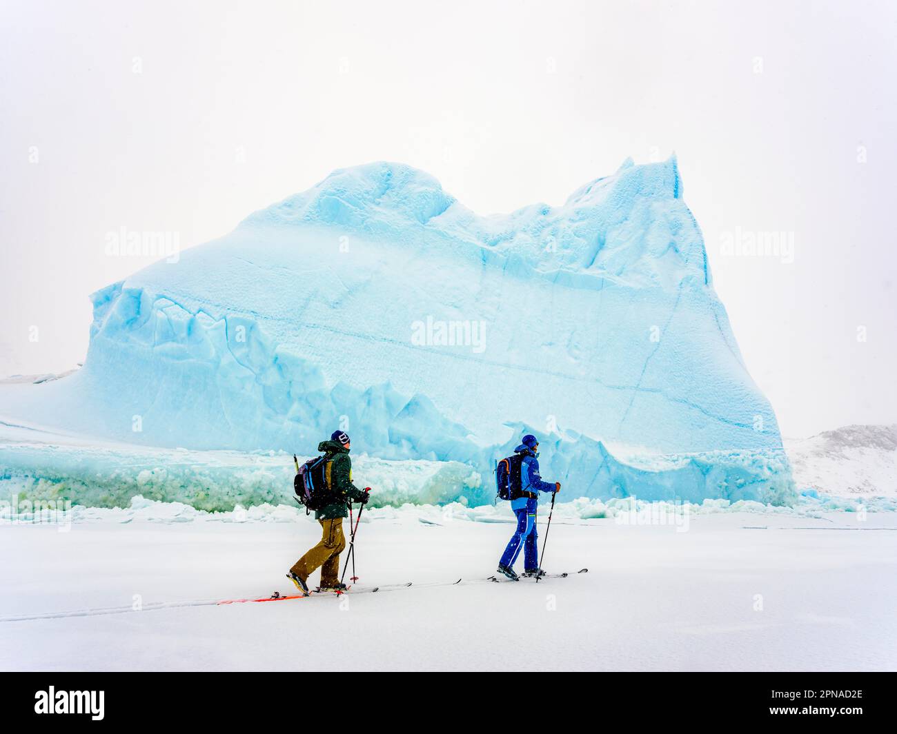 Ski tourers in front of iceberg in frozen Kong Oscar Fjord, Tasiilaq,  Ammassalik Island, Kommuneqarfik Sermersooq, East Greenland, Greenland  Stock Photo - Alamy