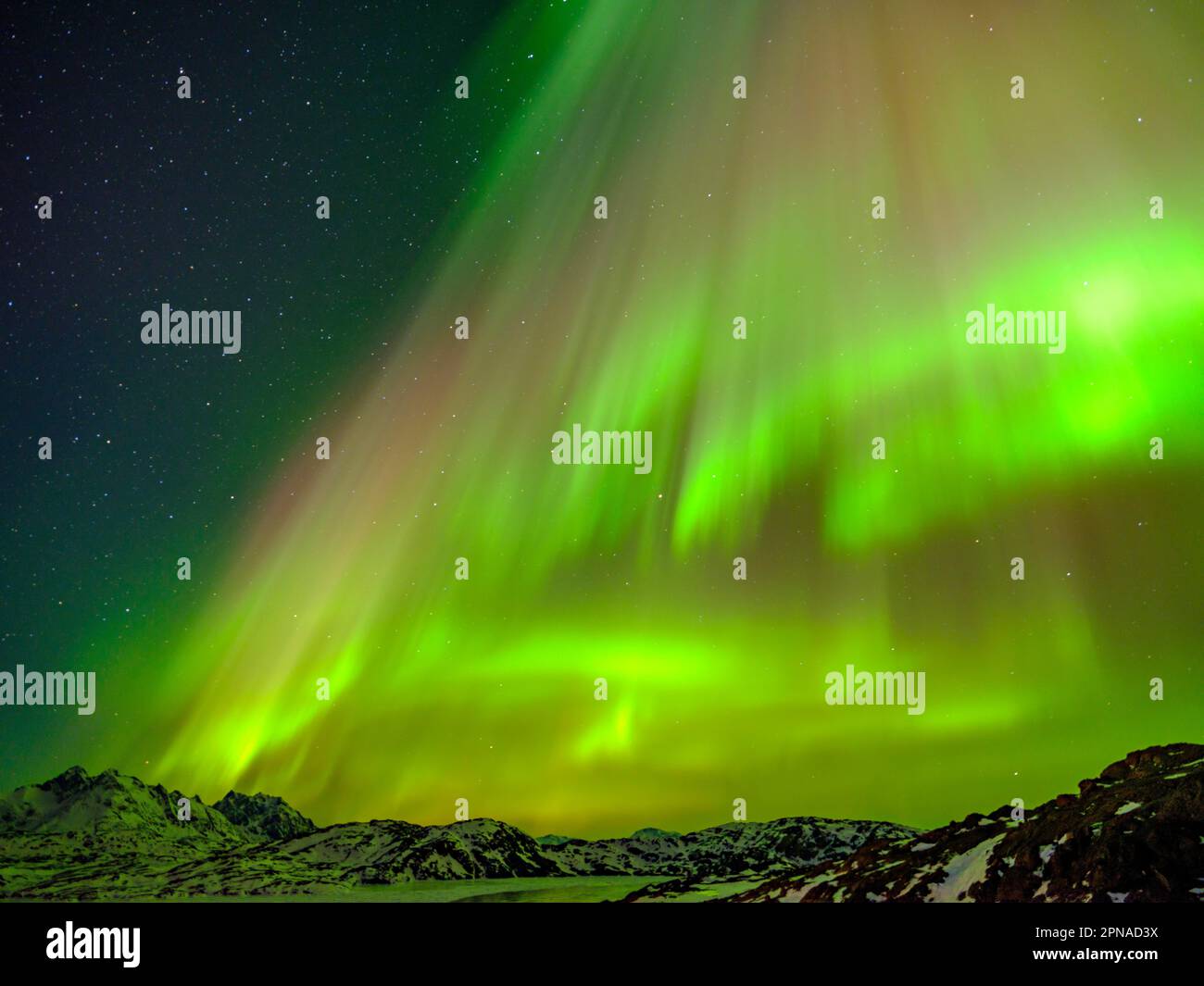 Aurora Borealis, Northern Lights, Tasiilaq, Ammassalik Island, Kommuneqarfik Sermersooq, East Greenland, Greenland Stock Photo