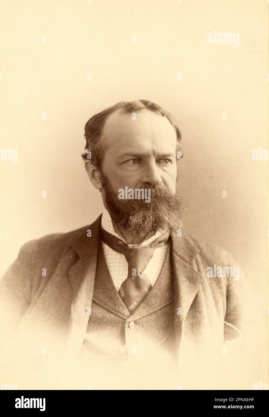 Vintage portrait of the American philosopher and psychologist, William James (1842-1910) by Pach Brothers Studio, c.1880 Stock Photo