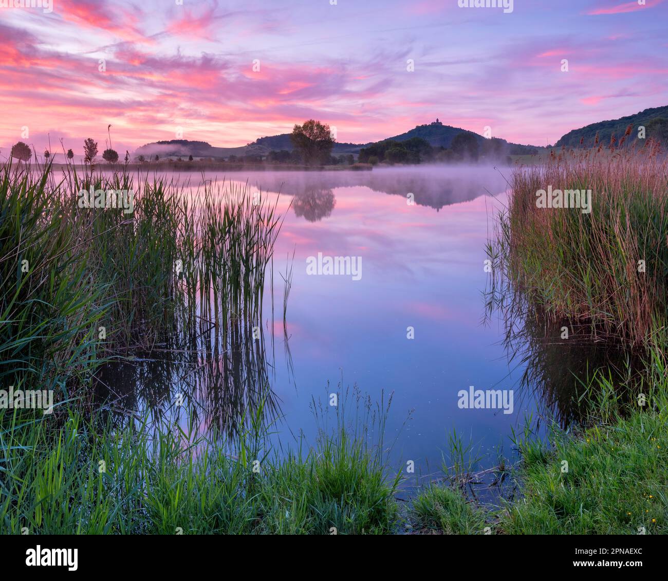 Landscape with lake at dawn, Veste Wachsenburg reflected, castle of the