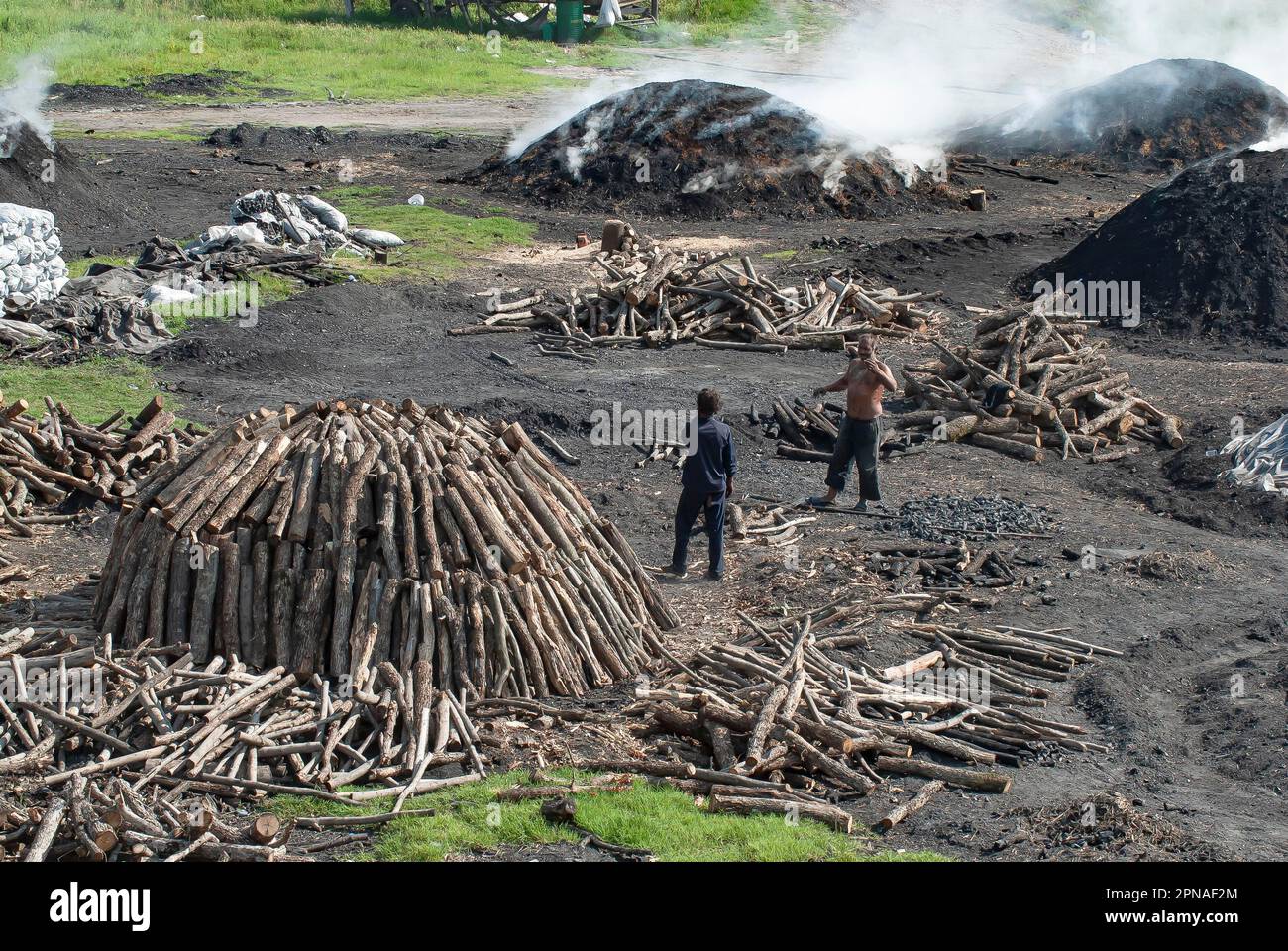 Charcoal burners during charcoal extraction, Ostrodopen, Bulgaria Stock