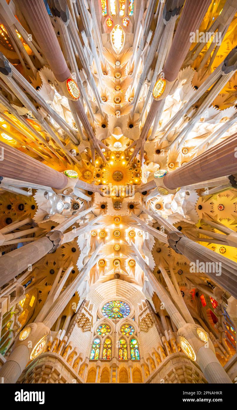 Artistic ceiling vault with columns, interior of the Sagrada Familia ...