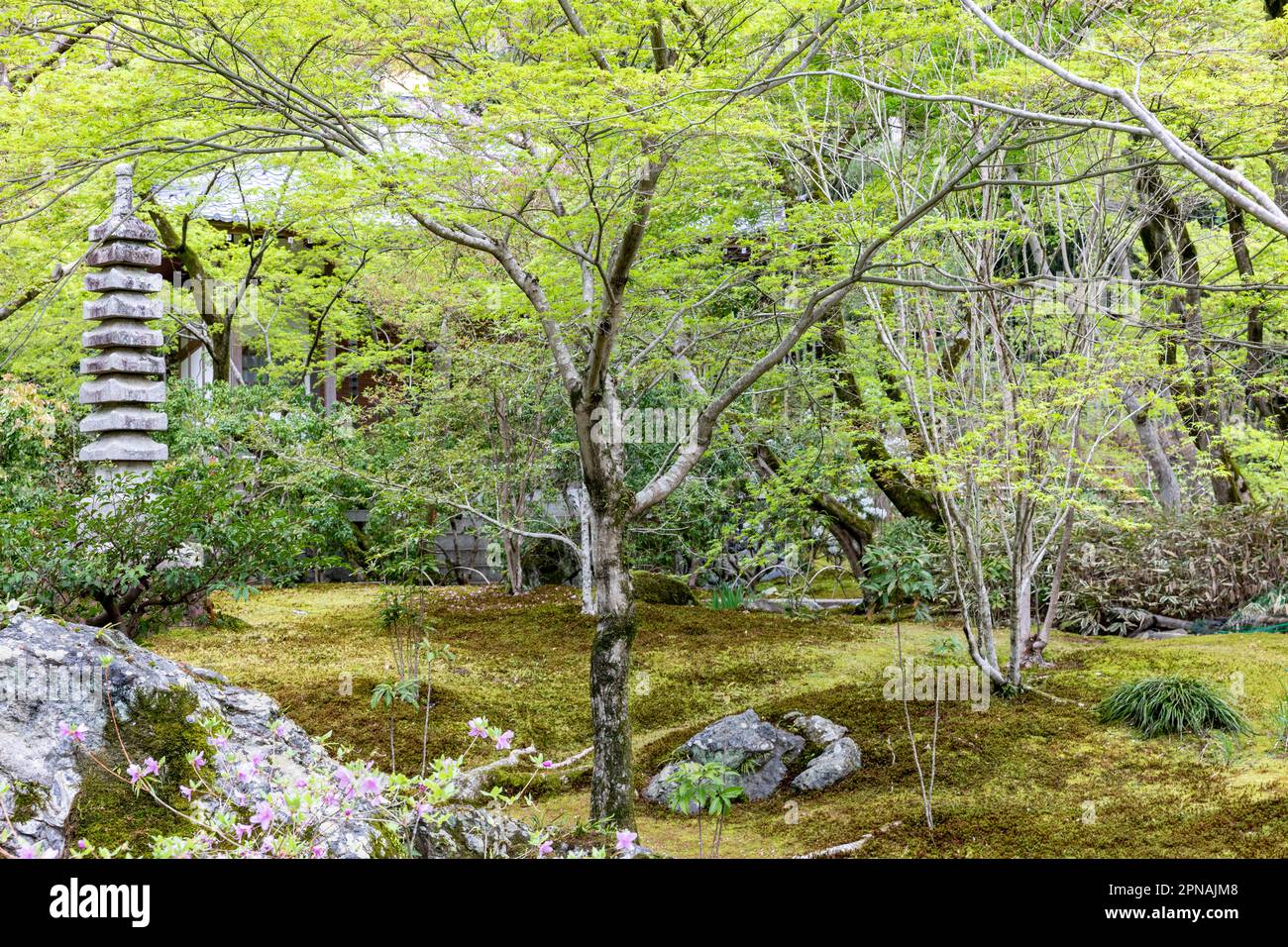 April 2023 Kyoto Tokyo Sogenchi famous gardens at Tenryu-Ji temple in Arashiyama designed by Muso Soseki, Unesco world heritage site Japan Stock Photo