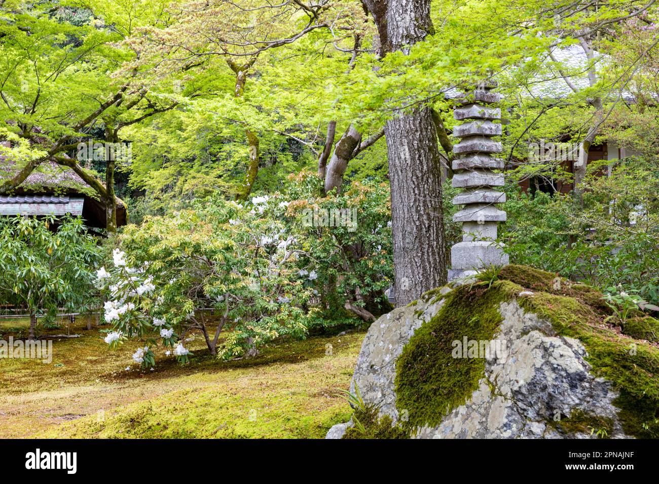 April 2023 Kyoto Tokyo Sogenchi famous gardens at Tenryu-Ji temple in Arashiyama designed by Muso Soseki, Unesco world heritage site Japan Stock Photo