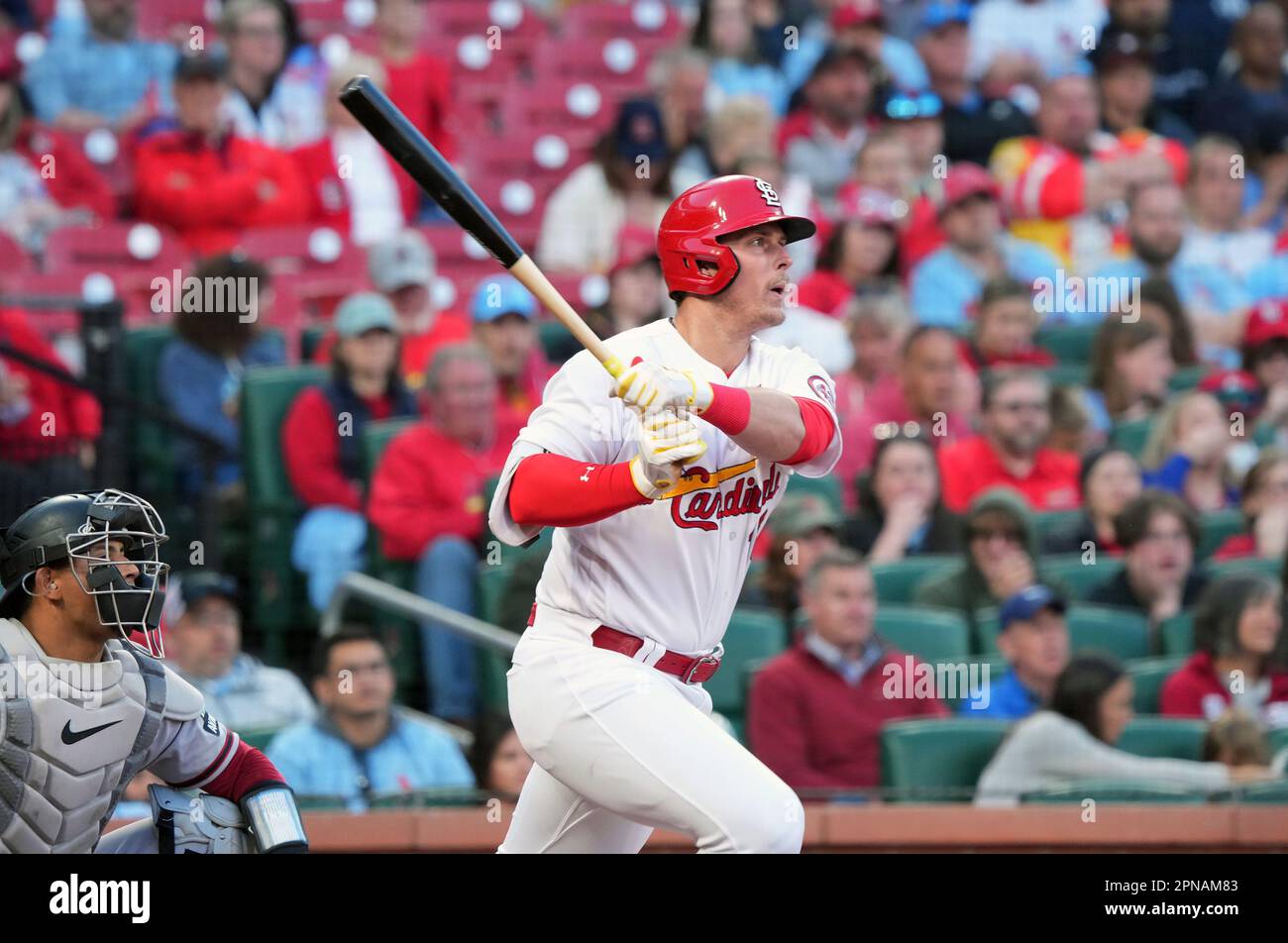 St. Louis, United States. 19th Jan, 2020. St. Louis Cardinals power  hitting, third base prospect Nolan Gorman, talks with reporters at the St.  Louis Cardinals Winter Warm-Up in St. Louis on Sunday