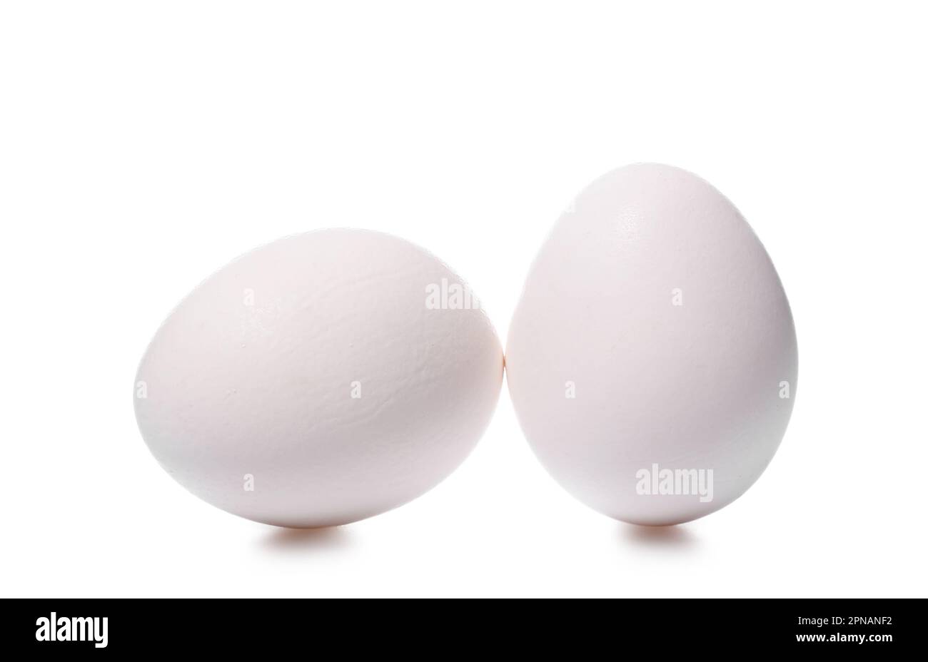 Chicken eggs isolated on white background Stock Photo - Alamy