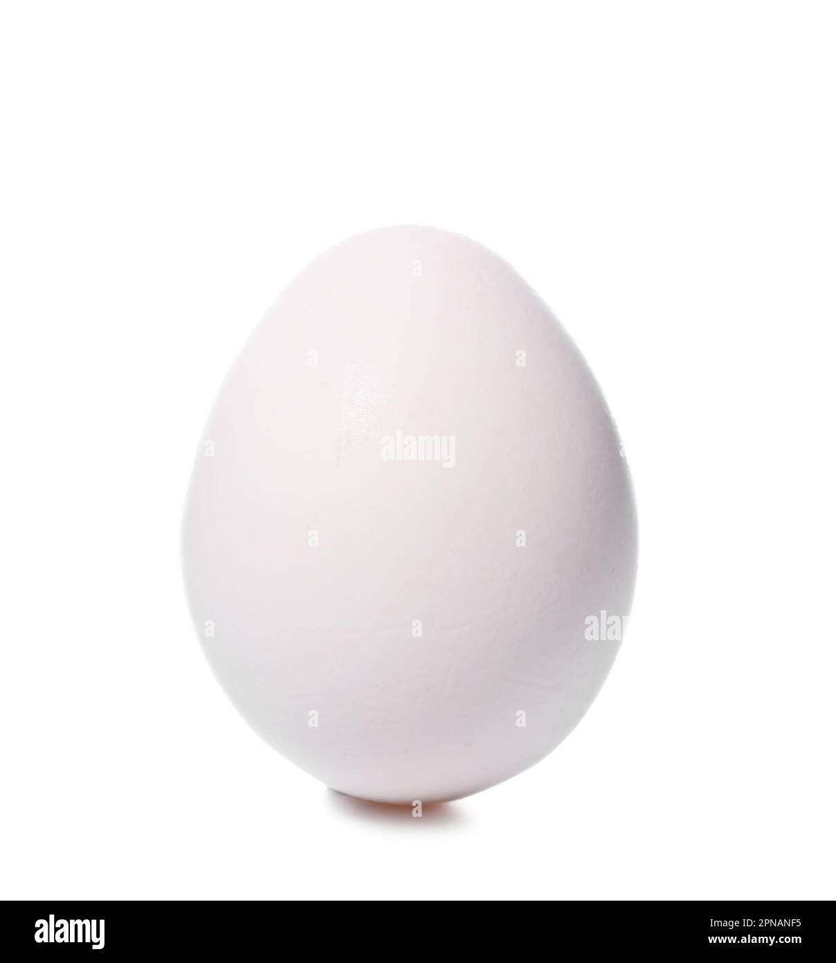 Chicken egg isolated on white background Stock Photo - Alamy
