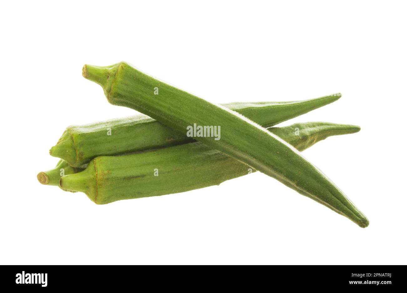 okra ladys finger bhindi and bamies vegetables and herbs isolated on a white background 2PNATRJ