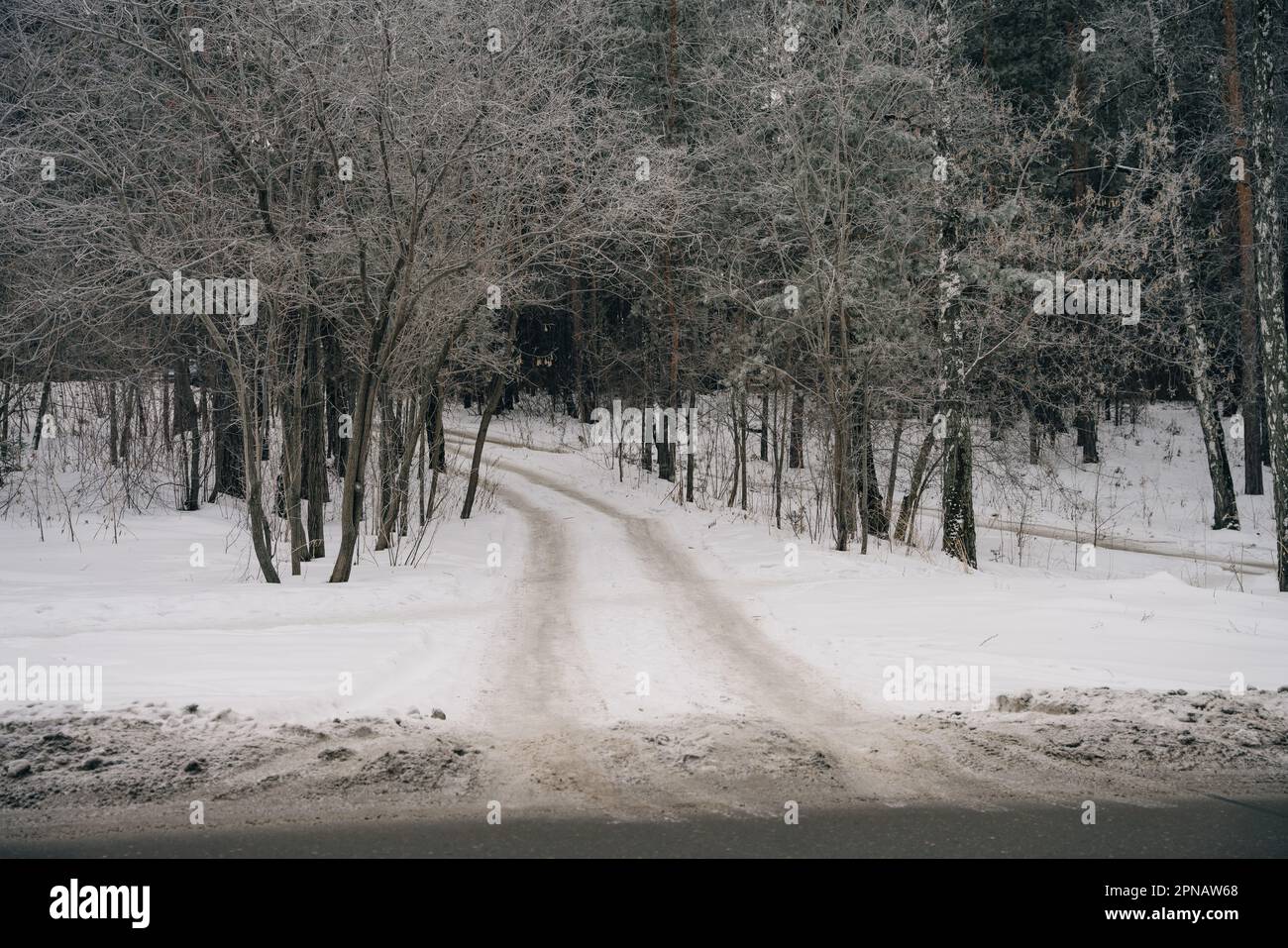 Aerial view snowy forest deep hi-res stock photography and images - Alamy