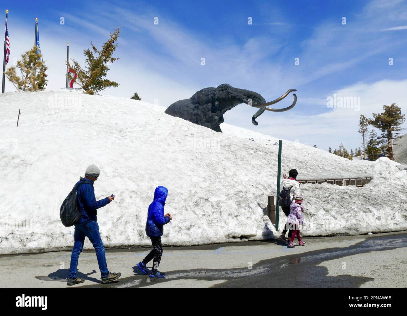 Mammoth, USA. 11th Apr, 2023. A mammoth, the mascot for the ski area in