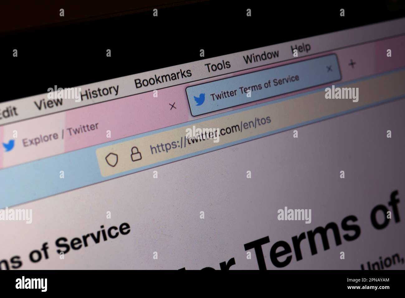 Computer laptop view of an internet search bar with big tech companies being searched for including, Twitter, Disney, Netflix, Amazon and Apple. Stock Photo