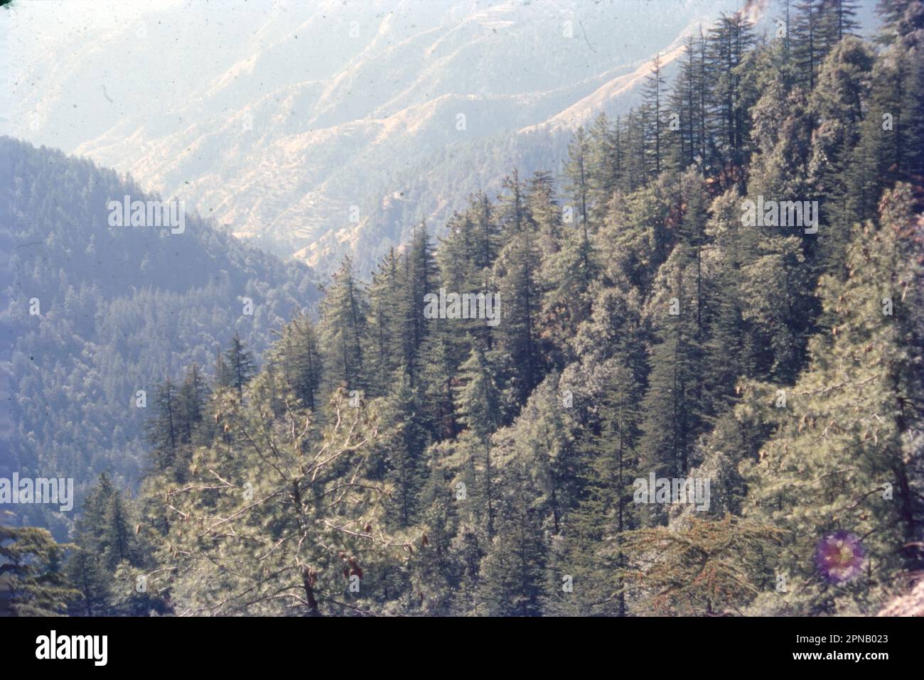 Altitude 2205 Meters Hi res Stock Photography And Images Alamy altitude-2205-meters-hi-res-stock-photography-and-images-alamy