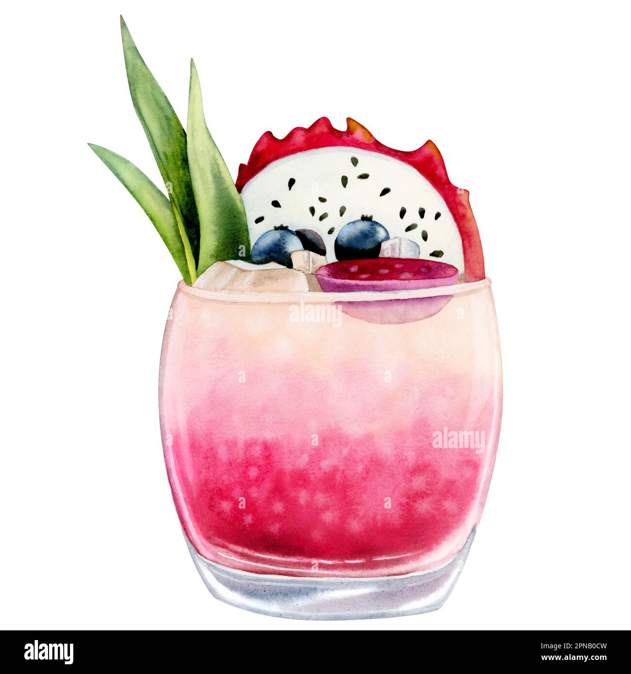 Watercolor juicy dragon fruit pink cocktail, lemonade, juice with ice