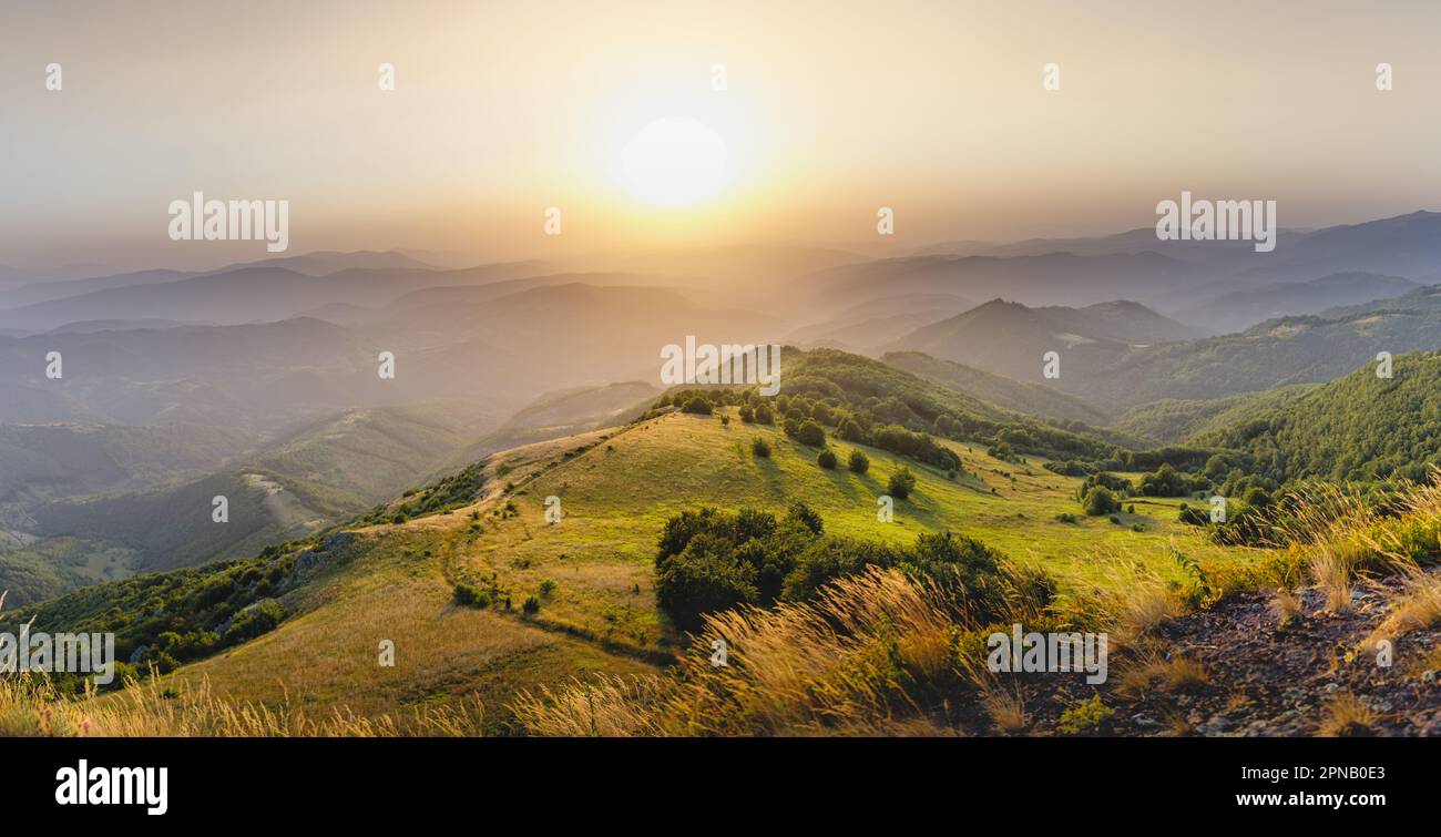 Sunlit rolling hills covered hi-res stock photography and images - Alamy