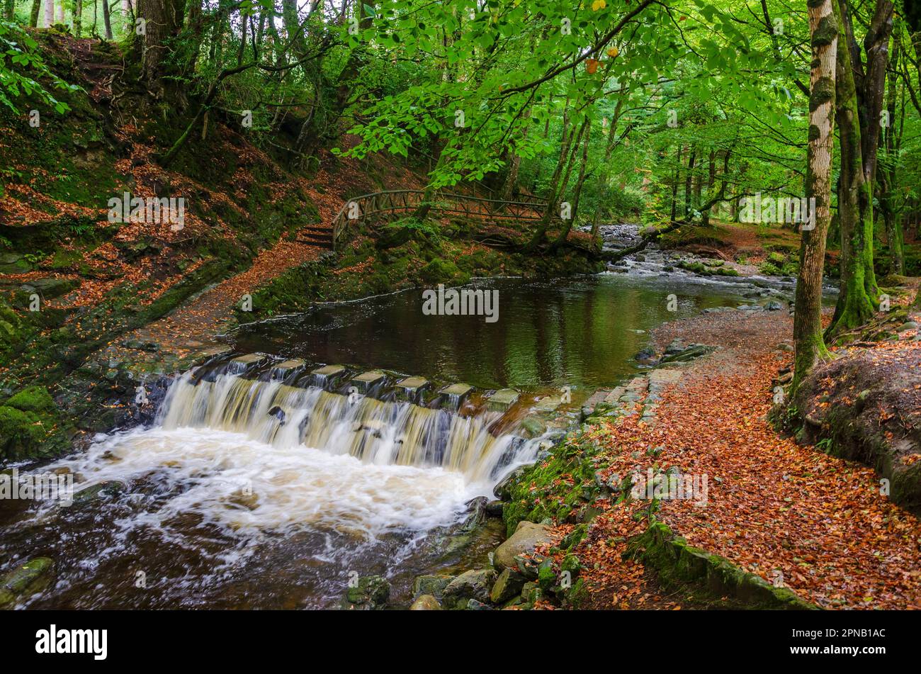 Stepping stones across river Shimna flowing through Tollymore forest a famous tourist sport near Newcastle County Down Northern Ireland Stock Photo