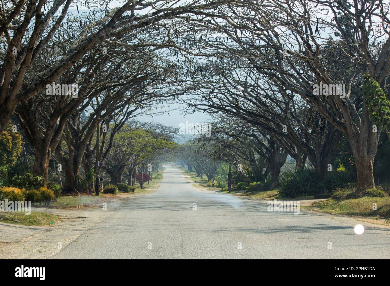 Mutare Avenues Stock Photo