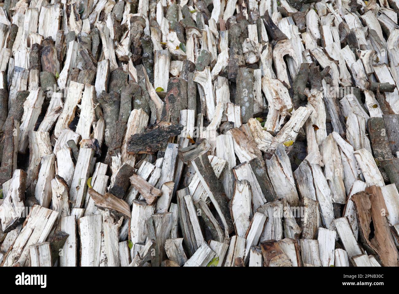 Splitted, dried and stacked firewood, front view. Stack of weathered, dry wood, a source of energy.  Chau Doc. Vietnam. Stock Photo