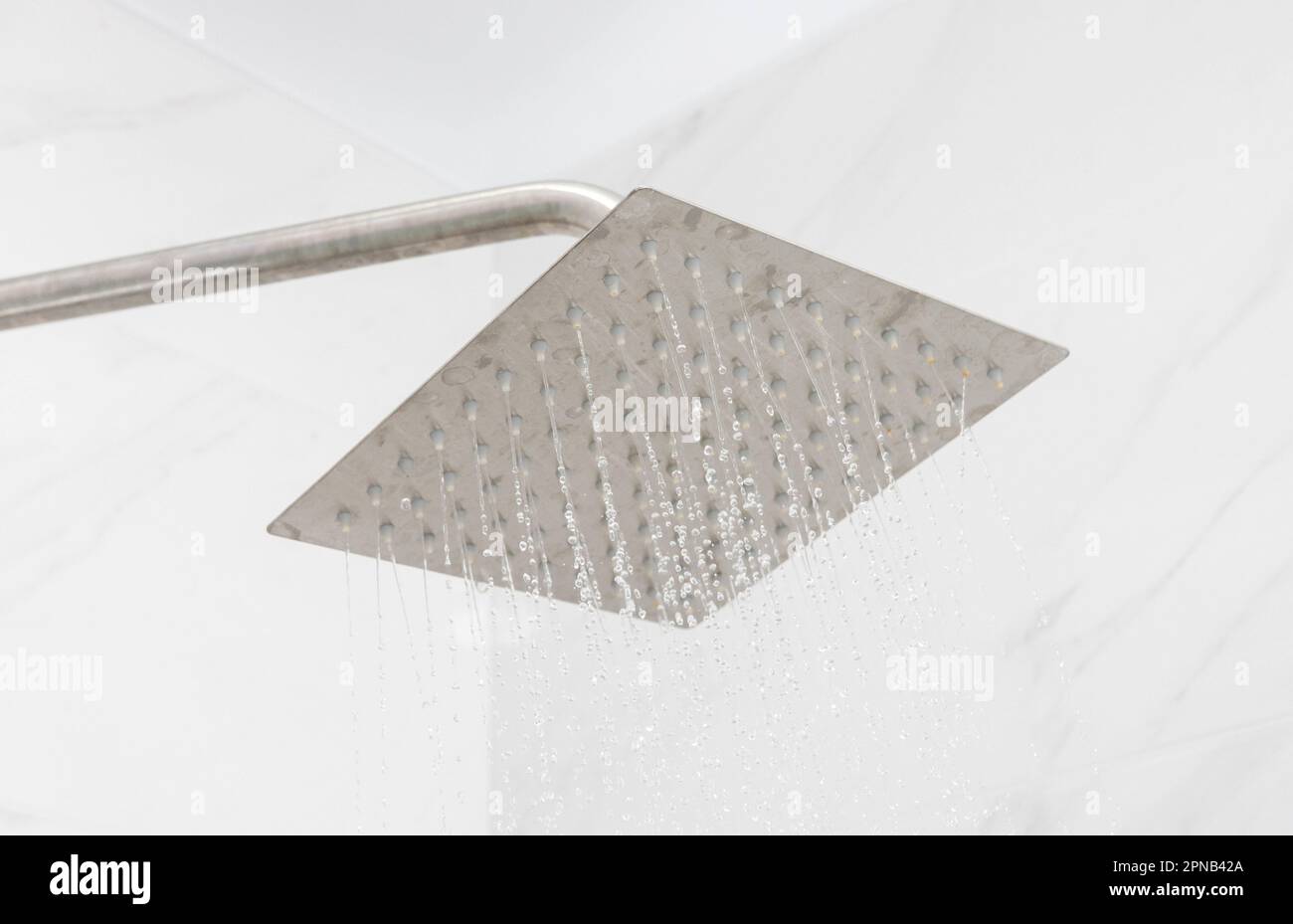 Large modern shower head from which water flows in the shower. shower