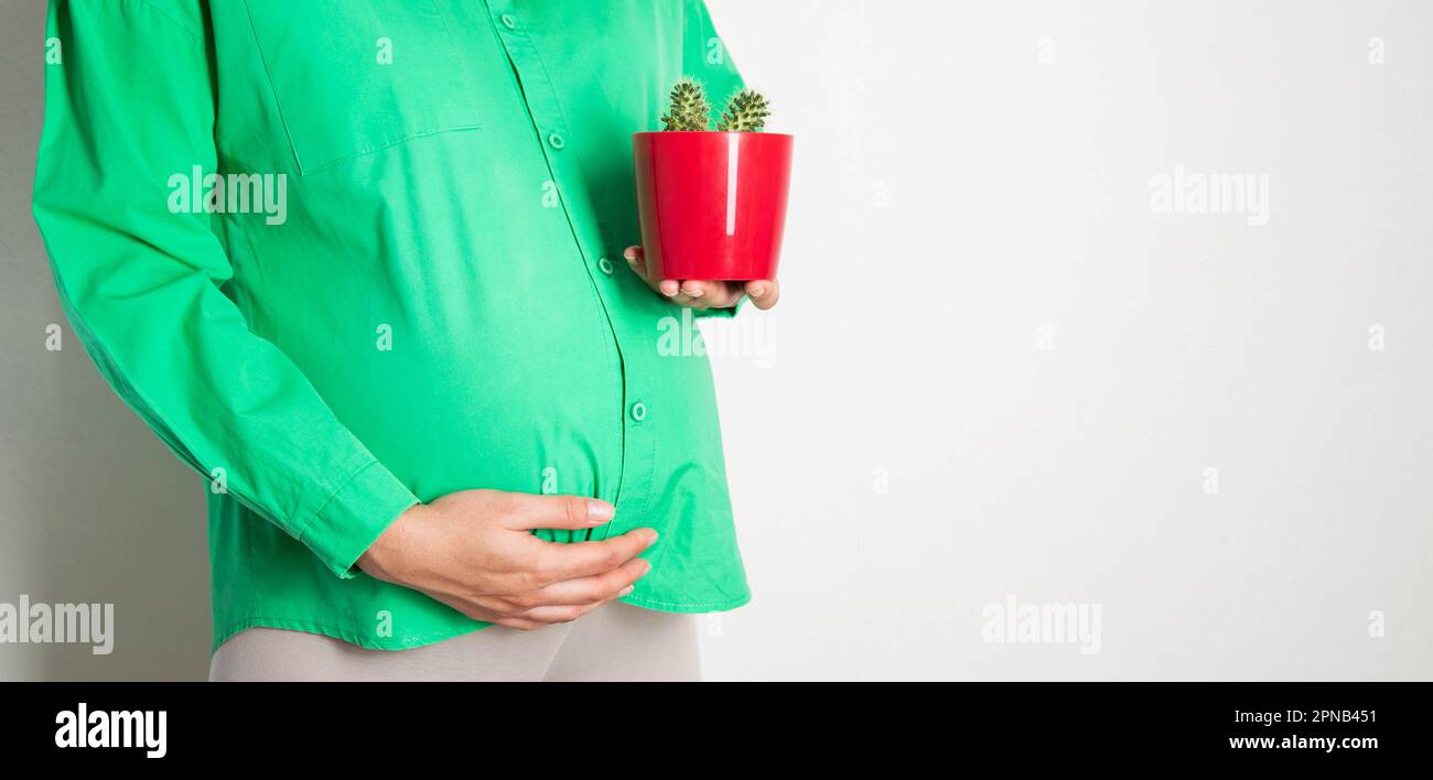 A pregnant girl holds a red pot with a cactus against the background of