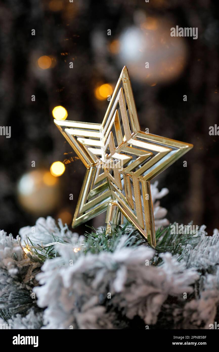 Christmas decoration on a tree. Christmas star.  Ho Chi Minh City. Vietnam. Stock Photo
