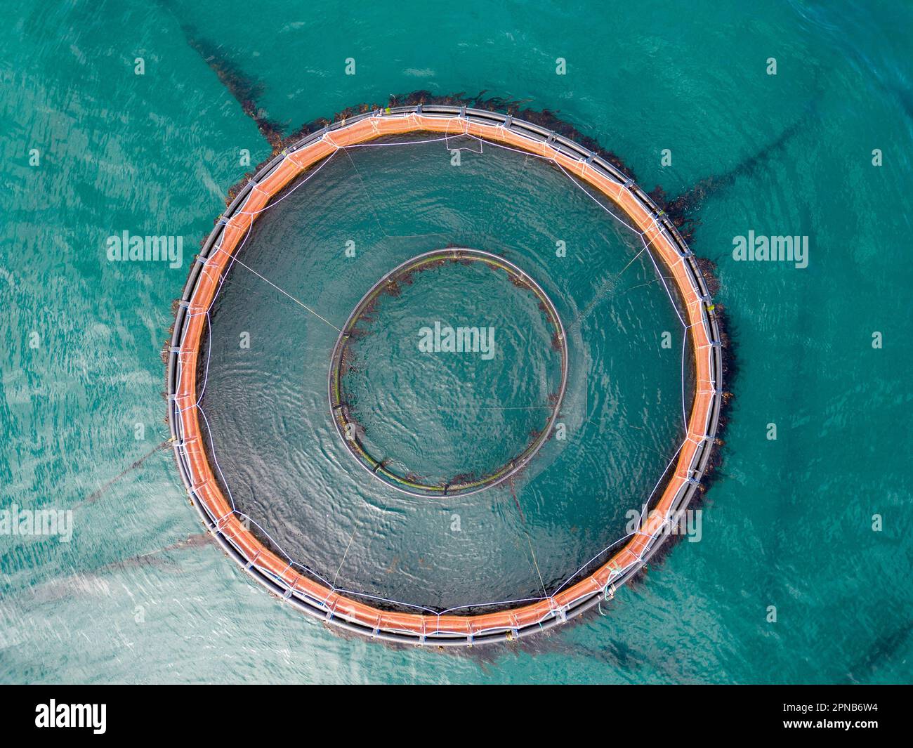 Salmon Fish Farm Aquaculture Aerial Drone View Of Fish Farm Cages Off homme-composition-dorade-a-short-history-of-the-troubles-hebdomadaire