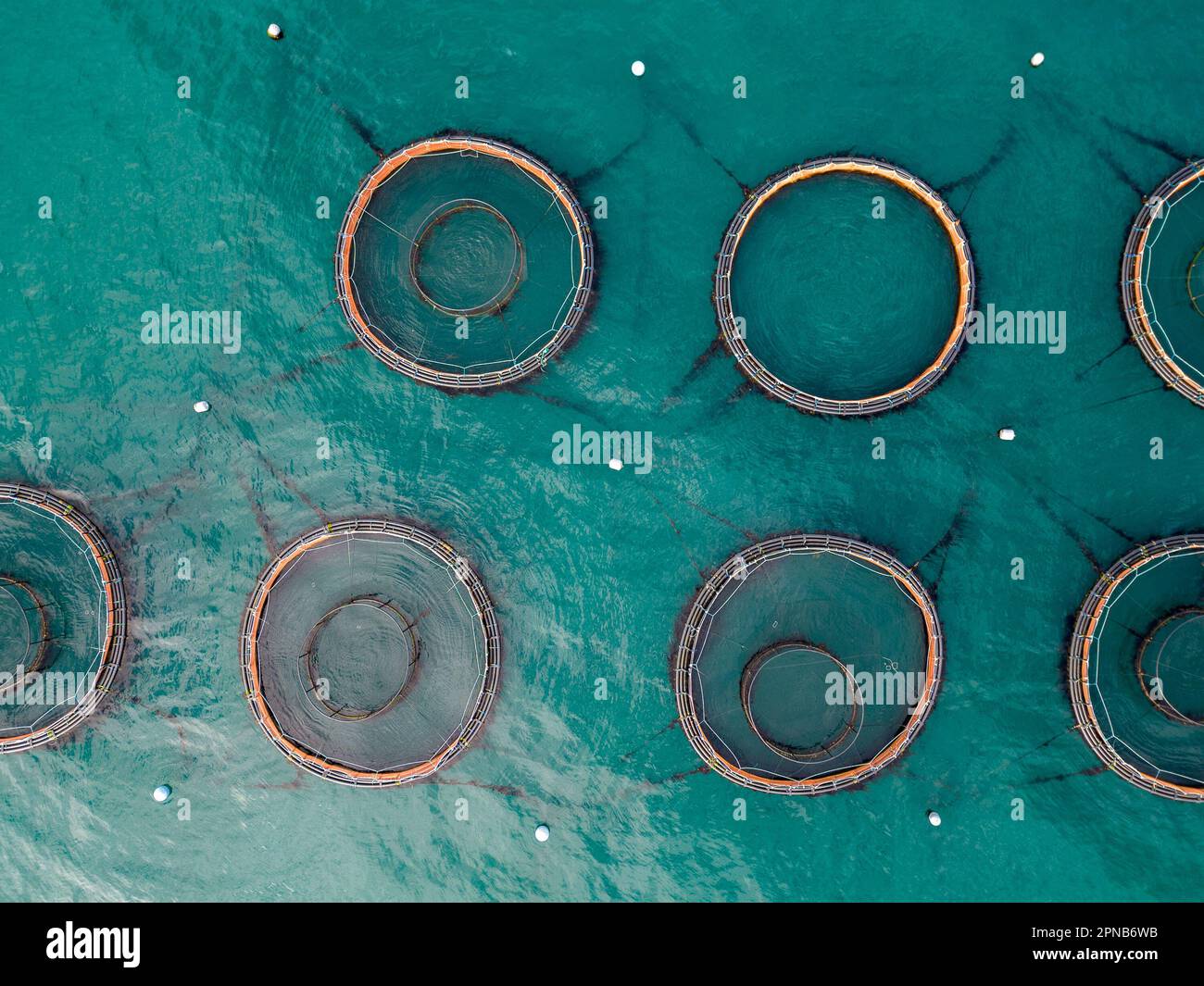 Salmon fish farm aquaculture. Aerial drone view of fish farm cages off