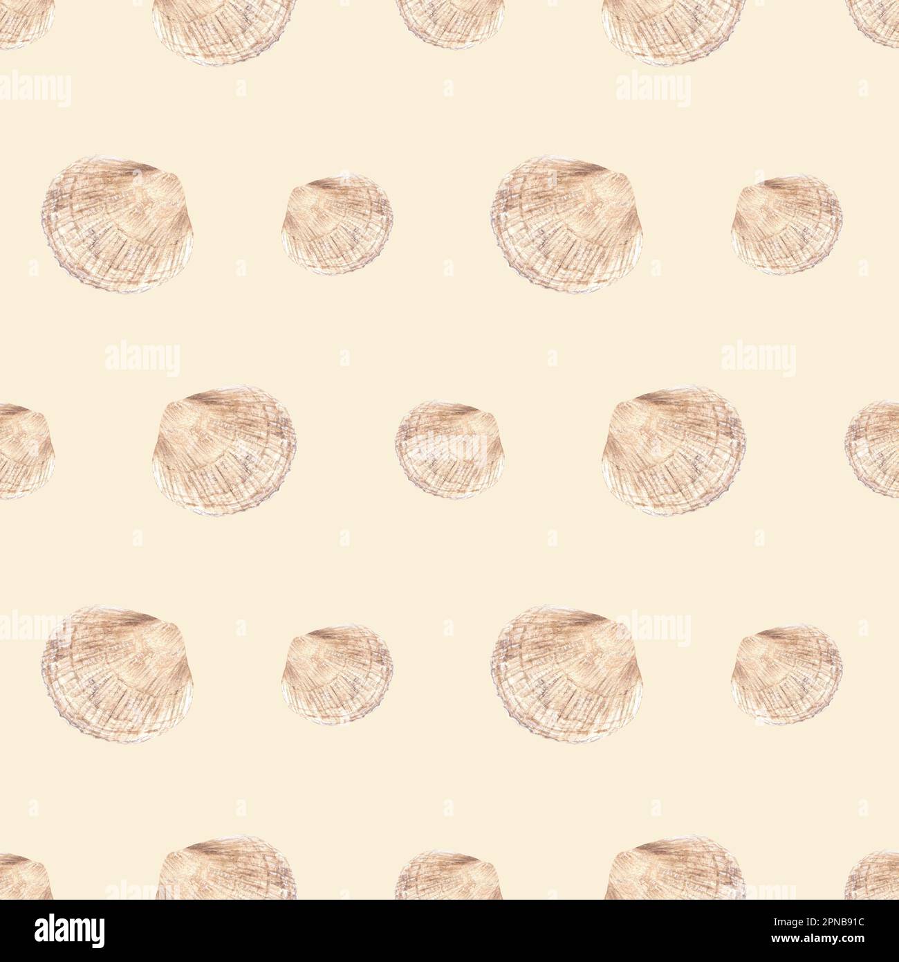 Seamless pattern with seashells. Hand drawn watercolor illustration for ...
