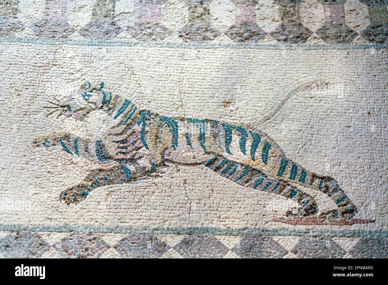 House of Dionysos, Paphos Archaeological Park, Cyprus: Hunting scene mosaic depicting a tiger running. Stock Photo