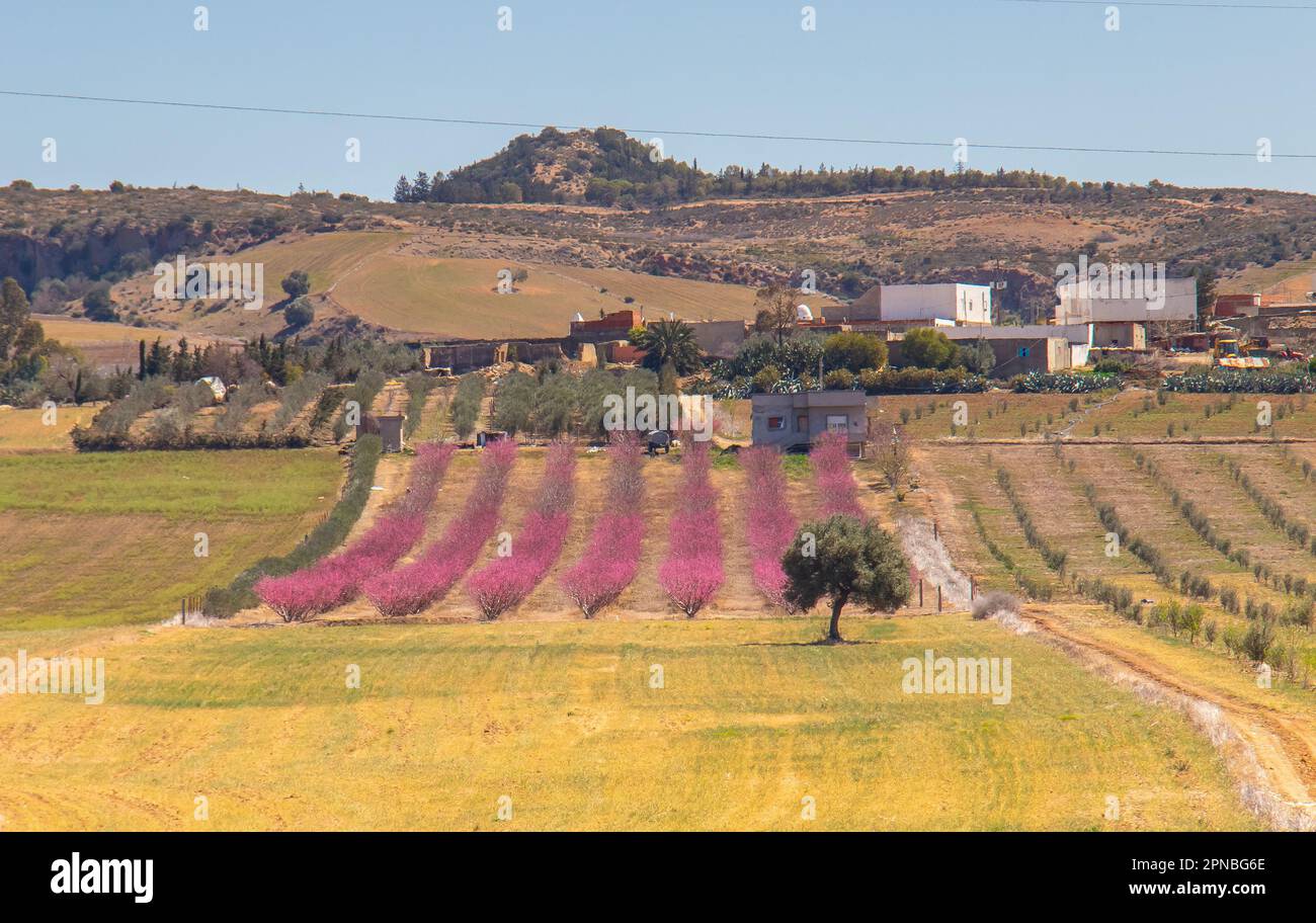 Testour A Charming Town with a Unique History and Architecture Stock Photo Alamy