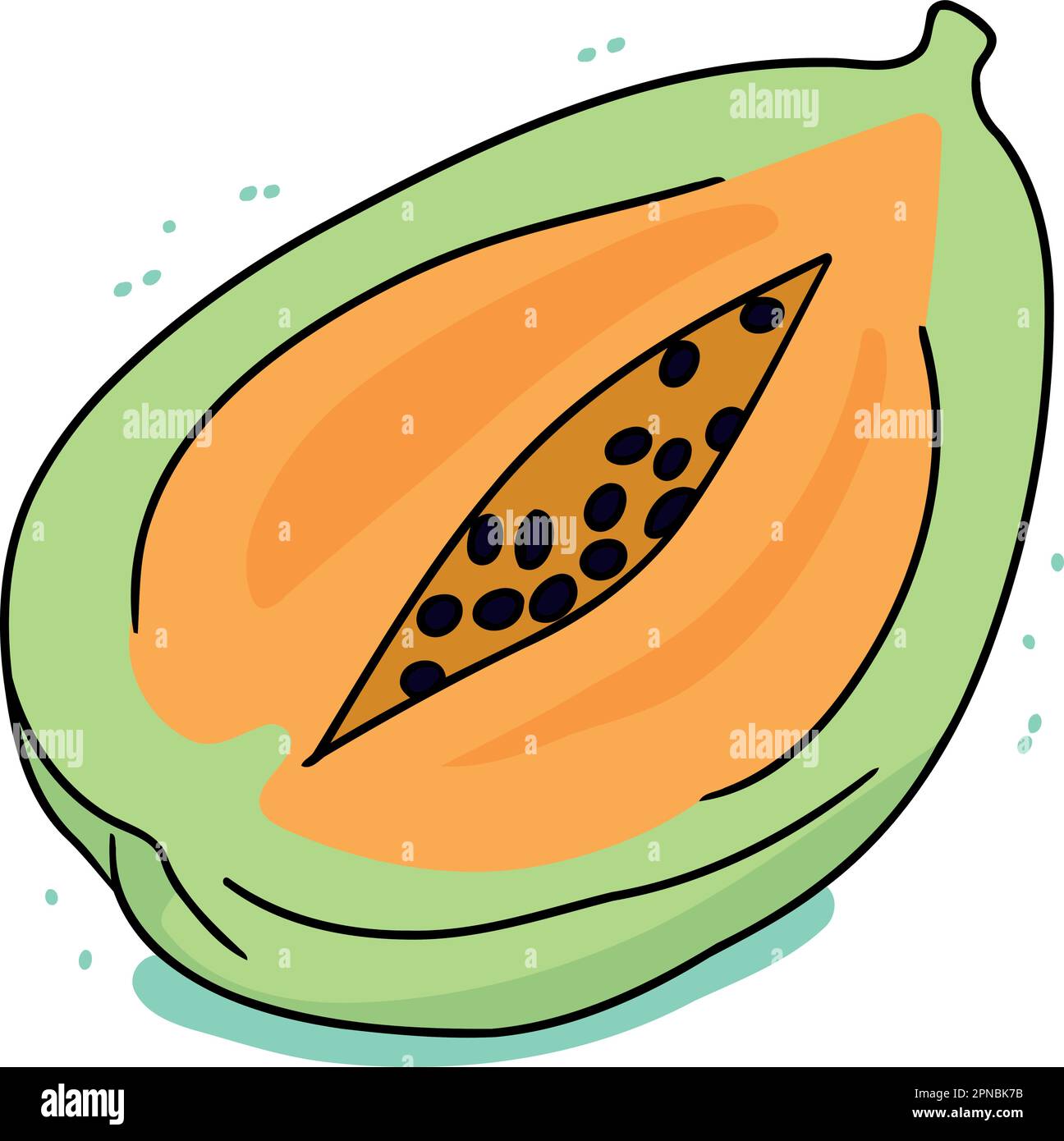 papaya fruit cut in half minimalist vector illustration Stock Vector