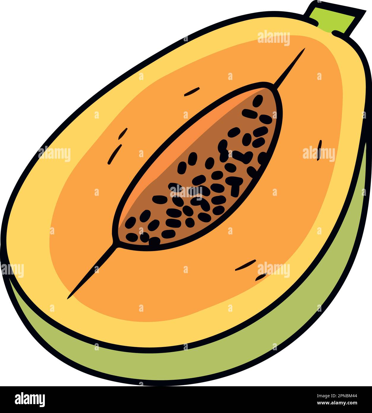 papaya fruit cut in half minimalist vector illustration Stock Vector