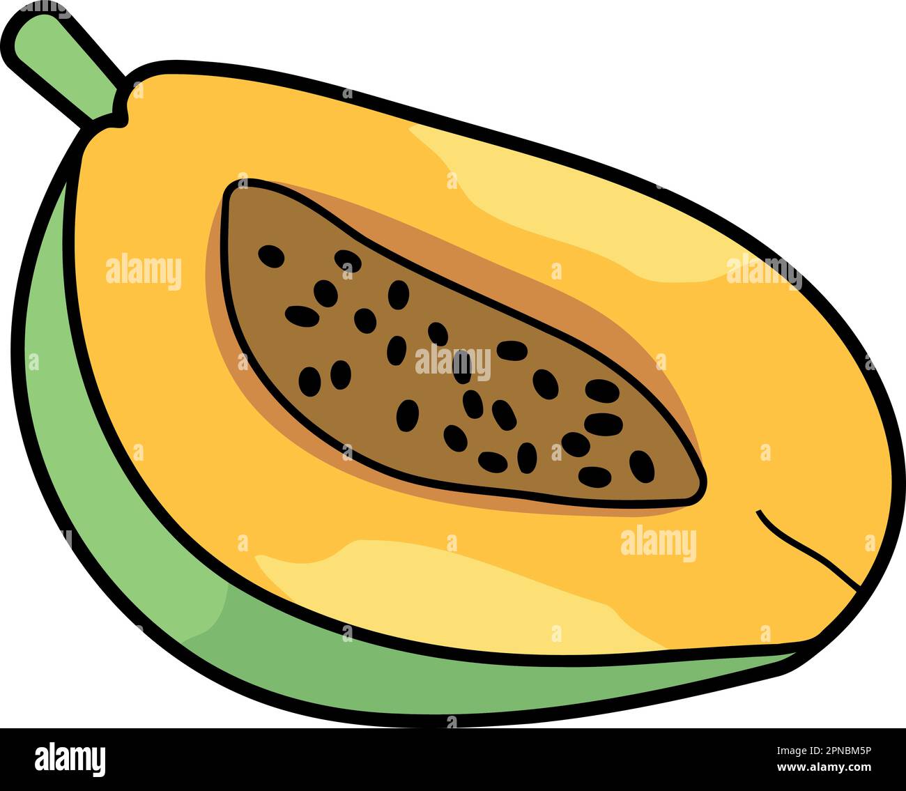 papaya fruit cut in half minimalist vector illustration Stock Vector