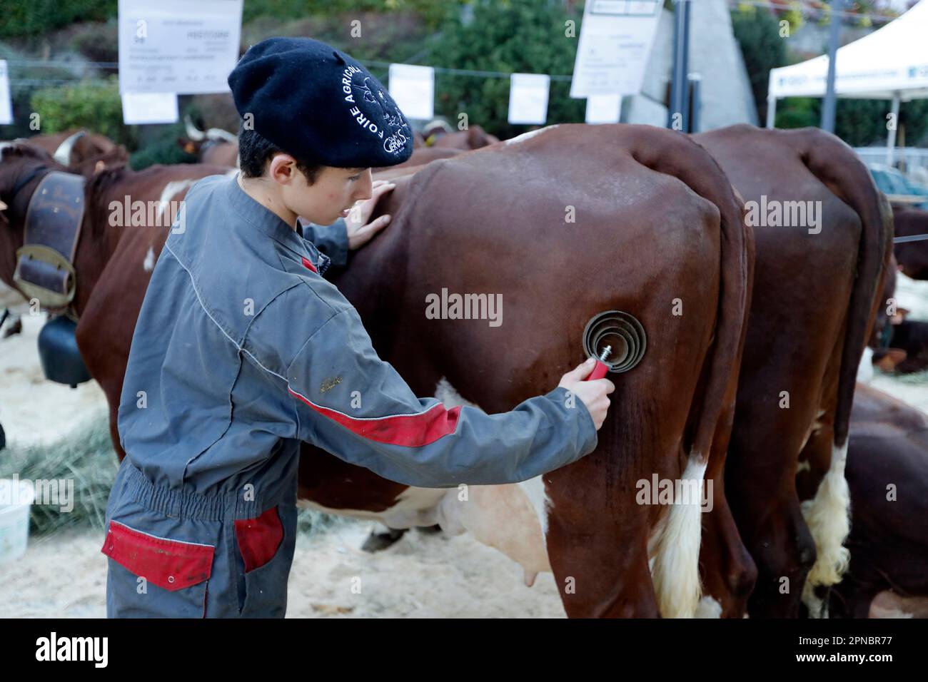 The agriculture fair Agricole) of SaintGervais MontBlanc