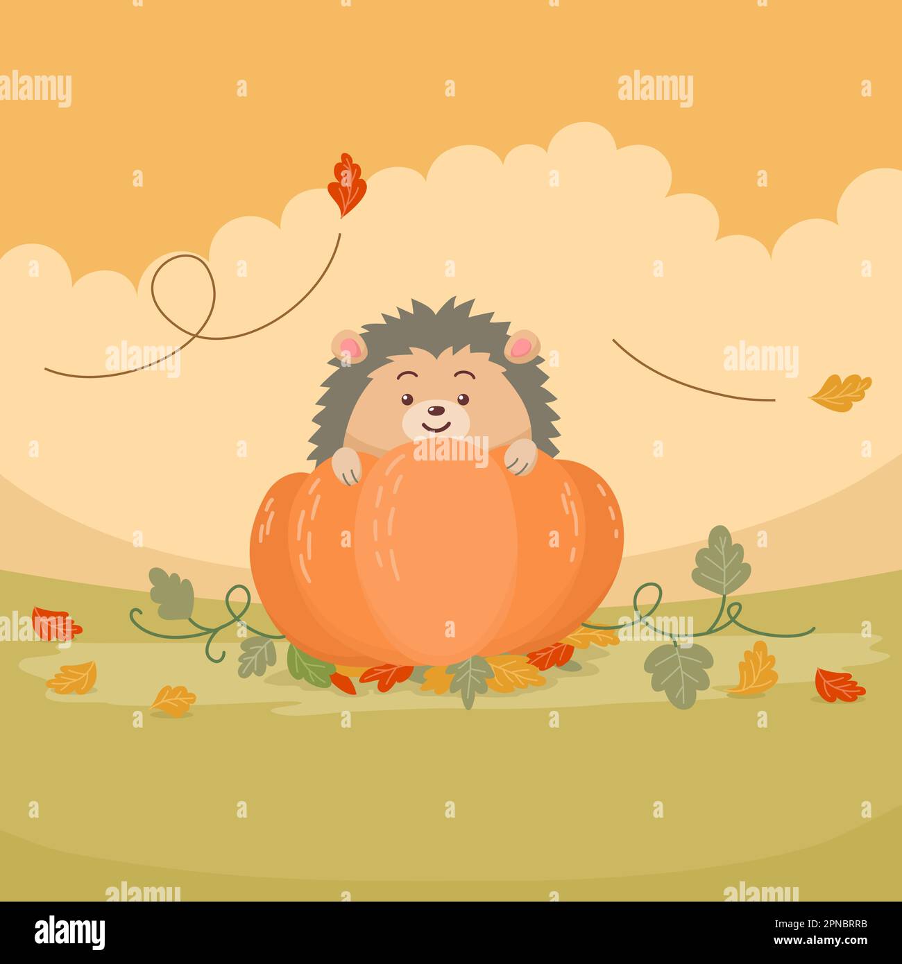 cute cartoon hedgehog with pumpkin Stock Vector Image & Art - Alamy