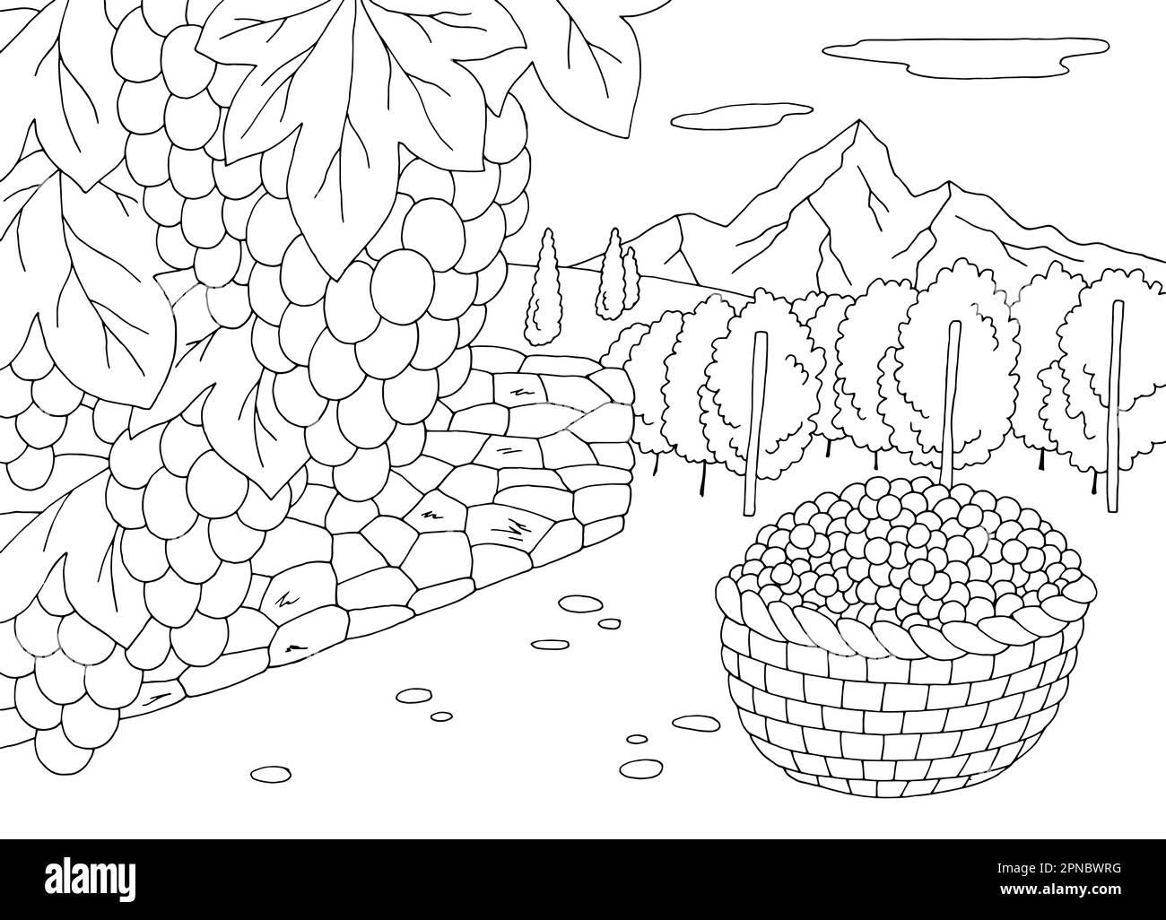 Vineyard coloring graphic black white landscape sketch illustration vector Stock Vector