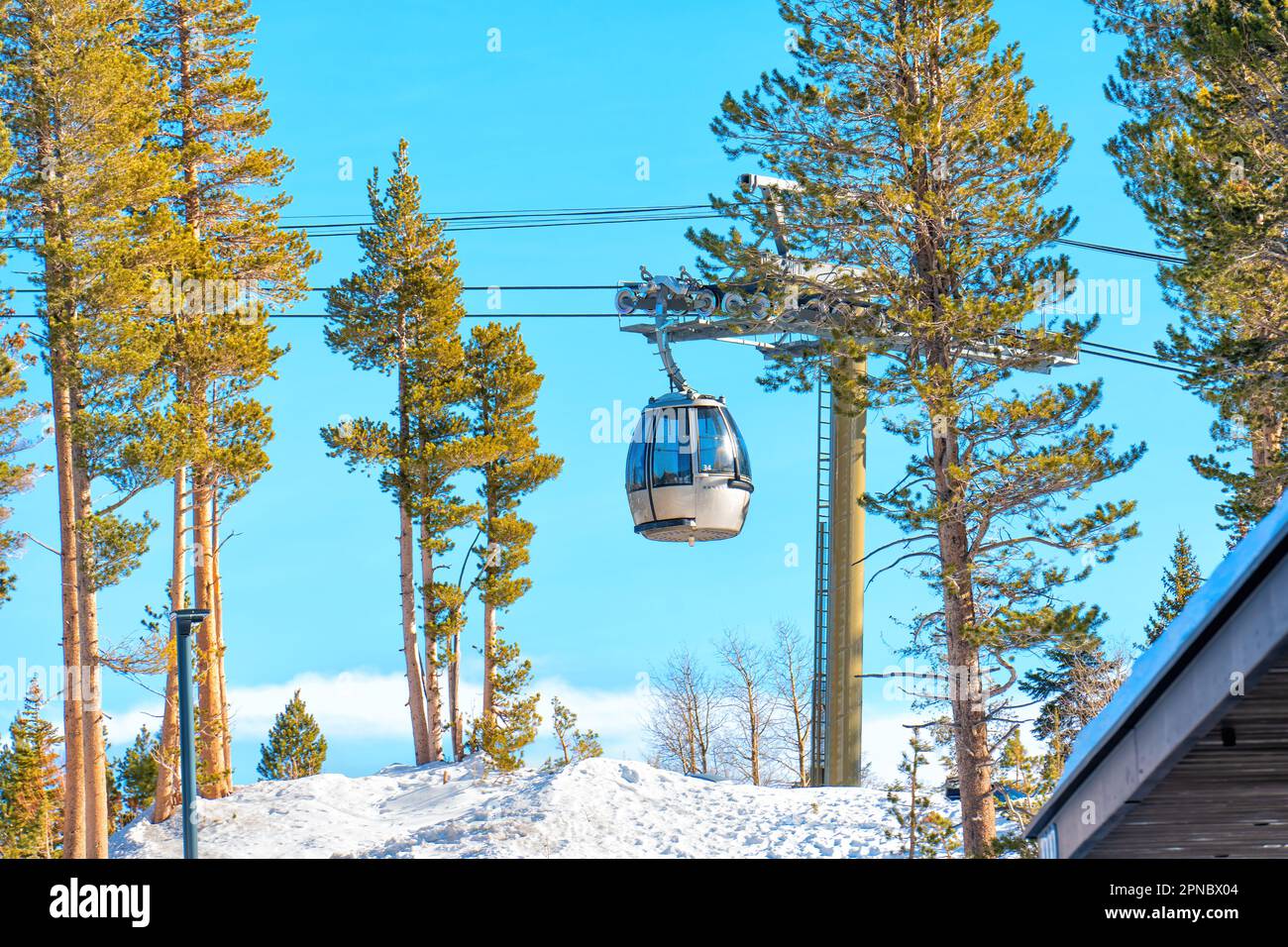 Modern enclosed ski lift set against a serene pine forest and clear