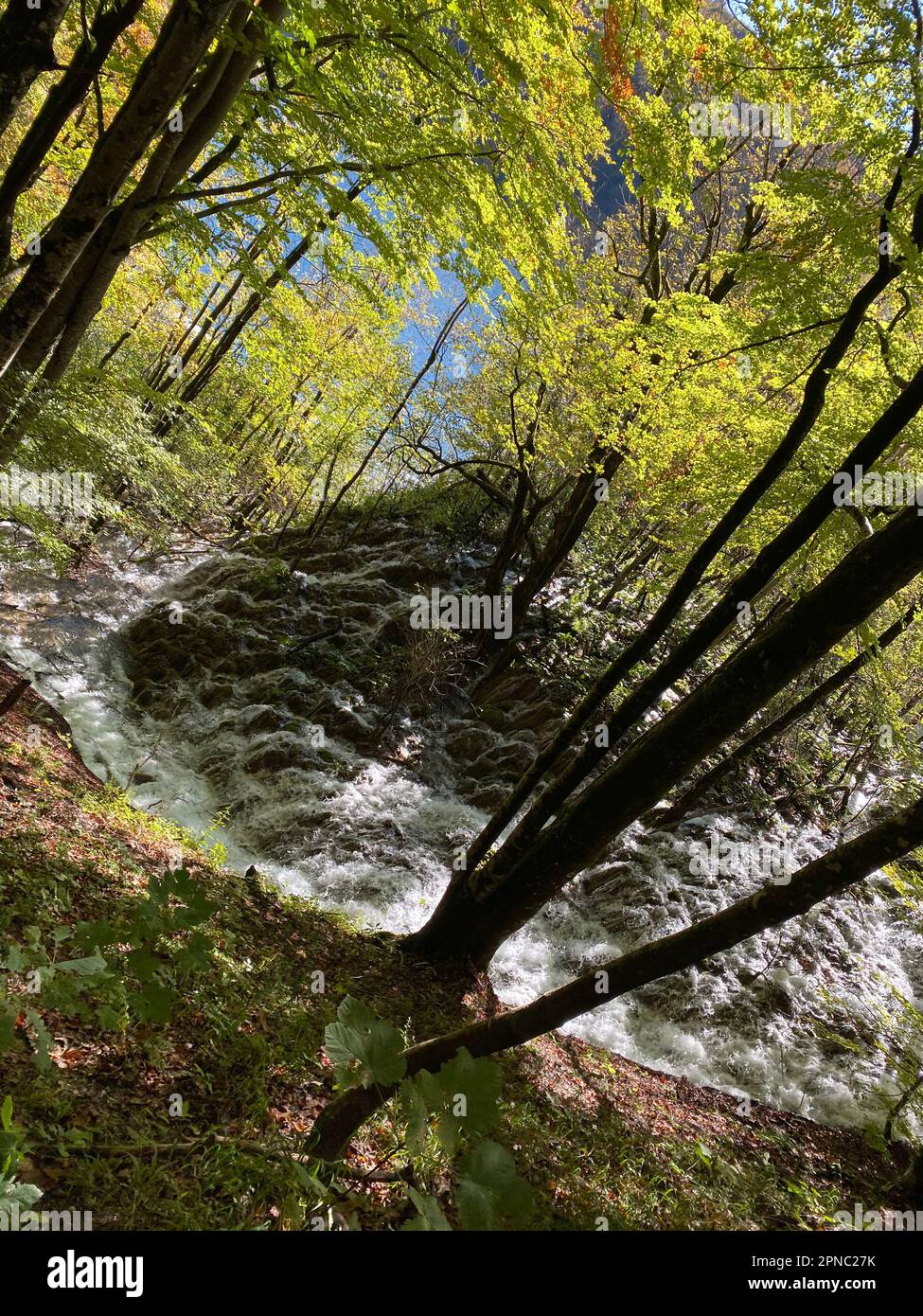Ljepote hi-res stock photography and images - Alamy