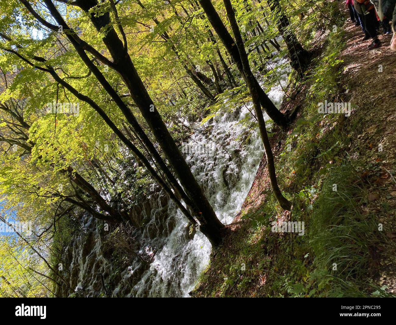 Ljepote hi-res stock photography and images - Alamy
