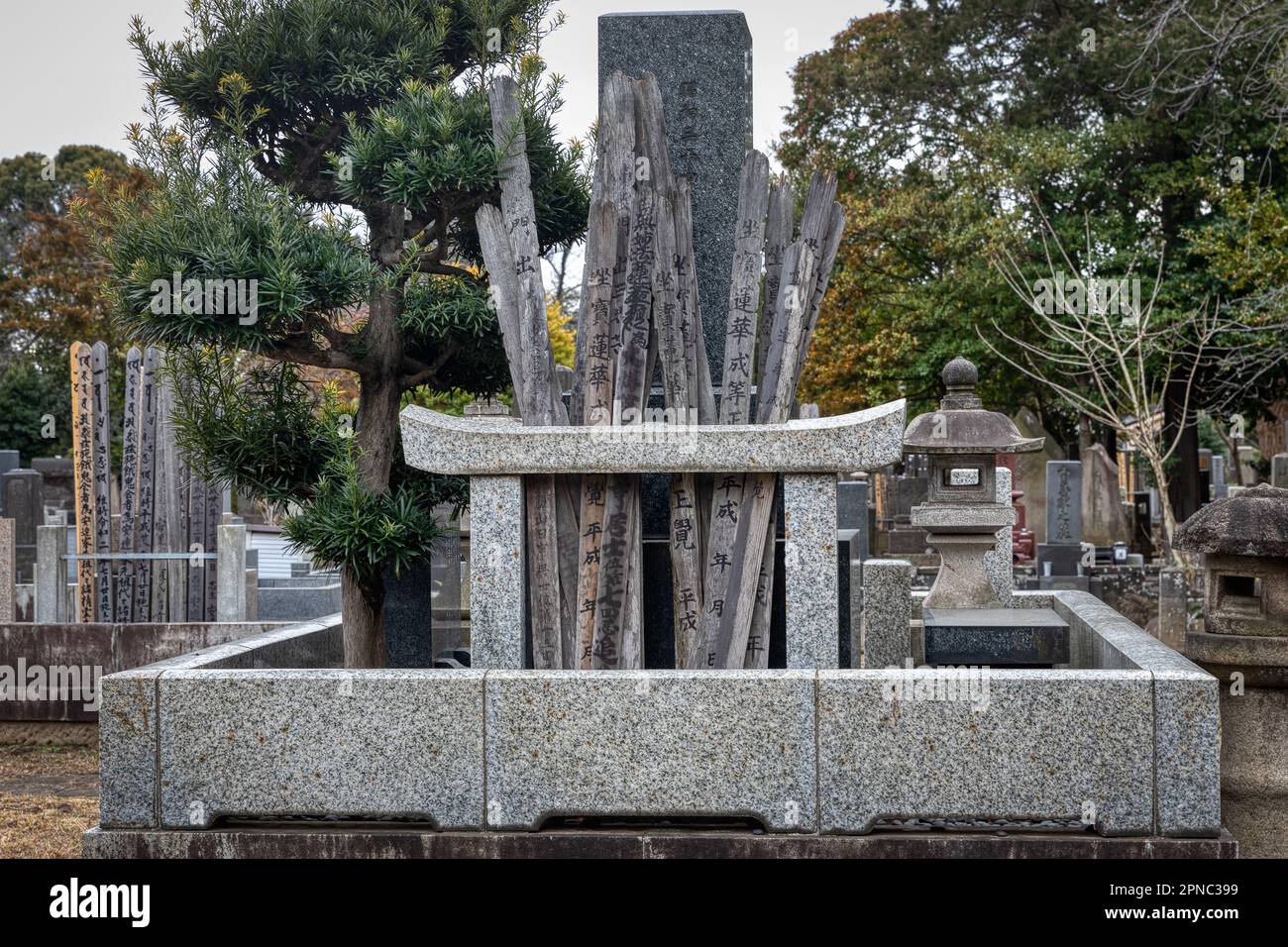 Unique graves with sotoba wood markers and a concrete tori gate in the old Yanaka Cemetery Park, Tokyo, Japan Stock Photo
