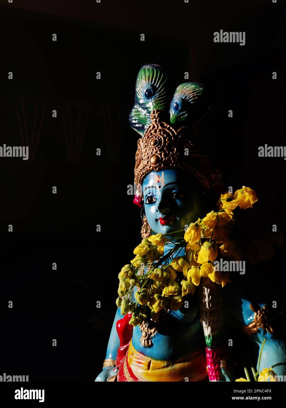 Blue idol of Lord Krishna/Cassia fistula/Golden shower flowers/Vishu