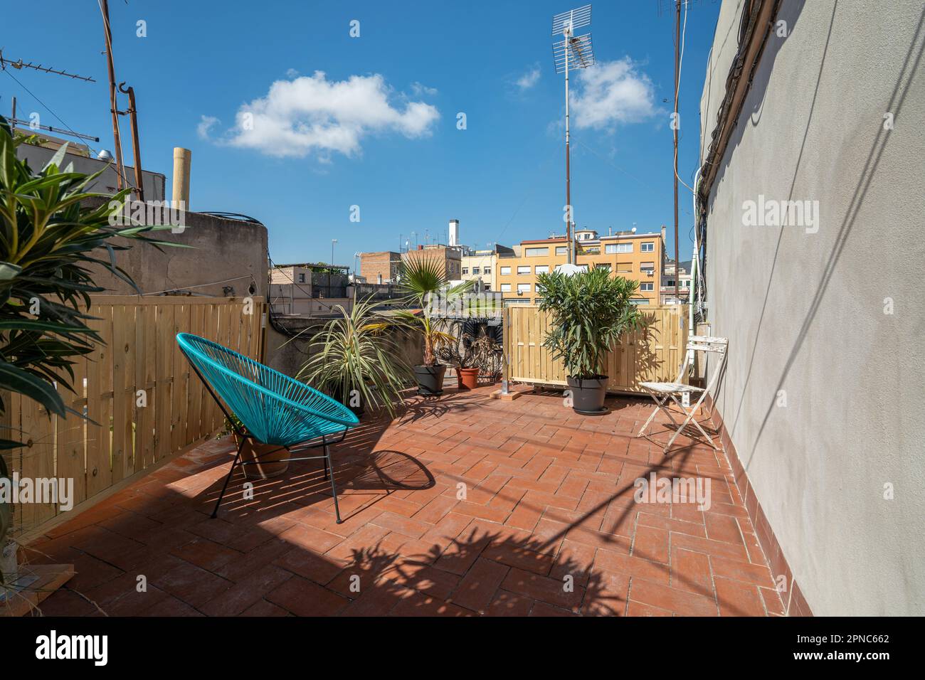 Cozy terrace with a sun lounger and palm trees in the backyard of