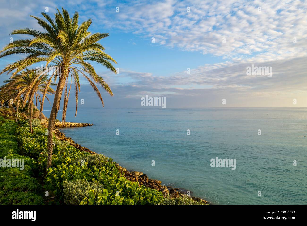 Pineapple Beach Club Long Bay Antigua Stock Photo Alamy