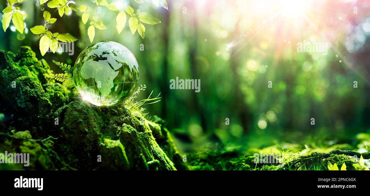 Earth Day - Green Globe In Forest With Moss And Defocused Abstract ...