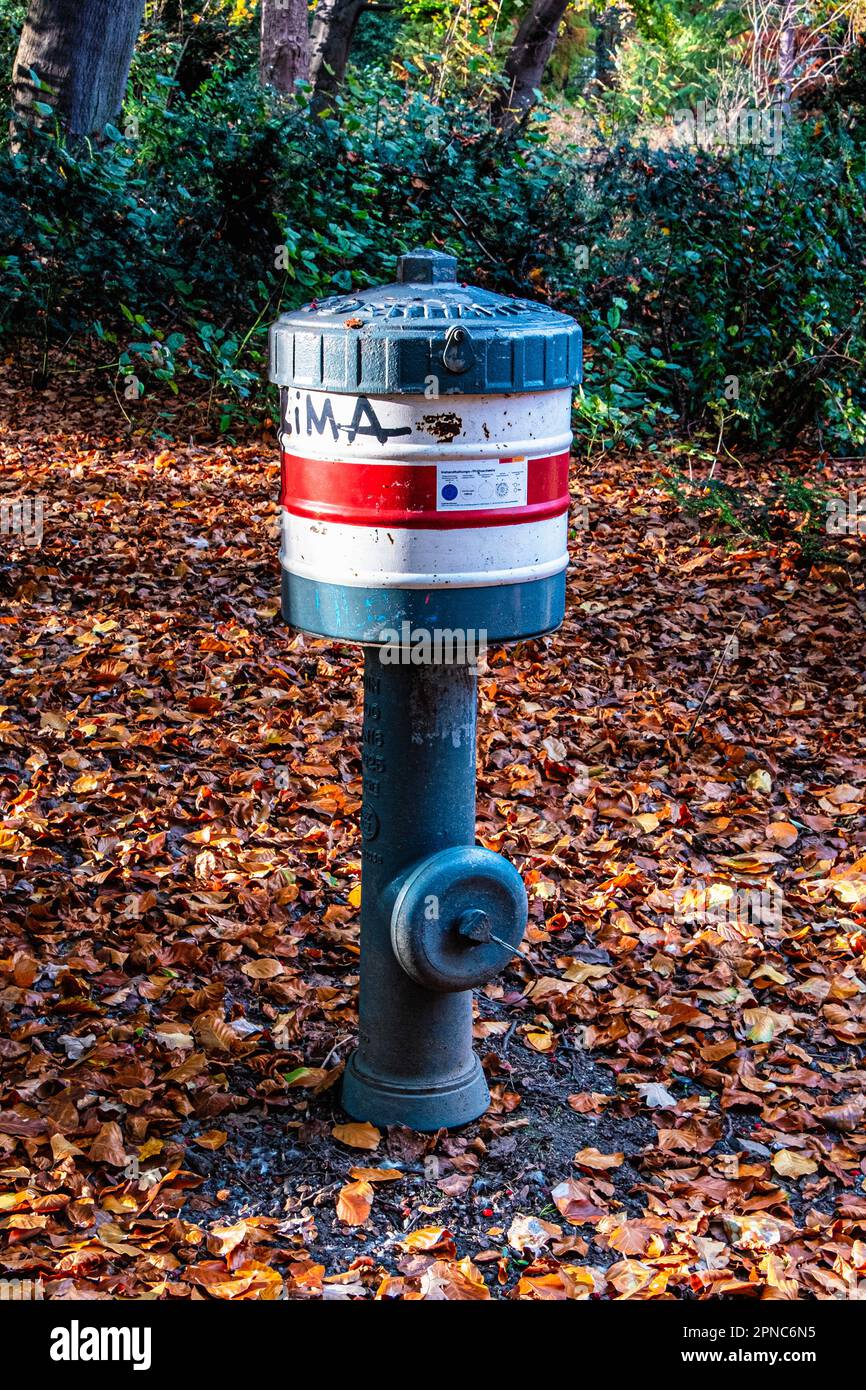 Fire Hydrant on carpet of brown leaves in Autumn,Tiergarten,Mitte,Berlin,Germany Stock Photo