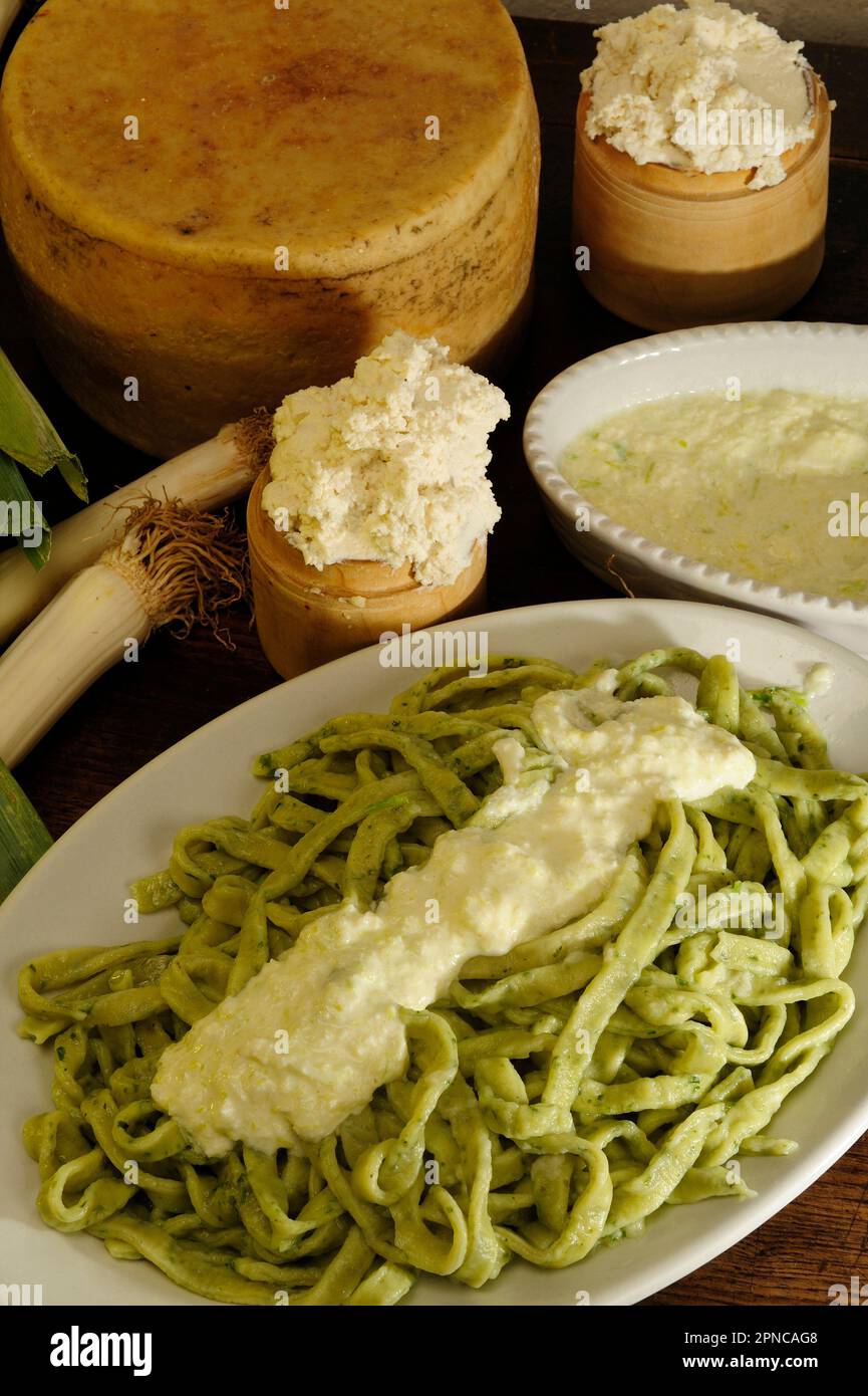 Bastradui, fresh green pasta with leek sauce, typical dishes of the so-called white cuisine of the hinterland of western Liguria; Mendatica; Imperia; Stock Photo