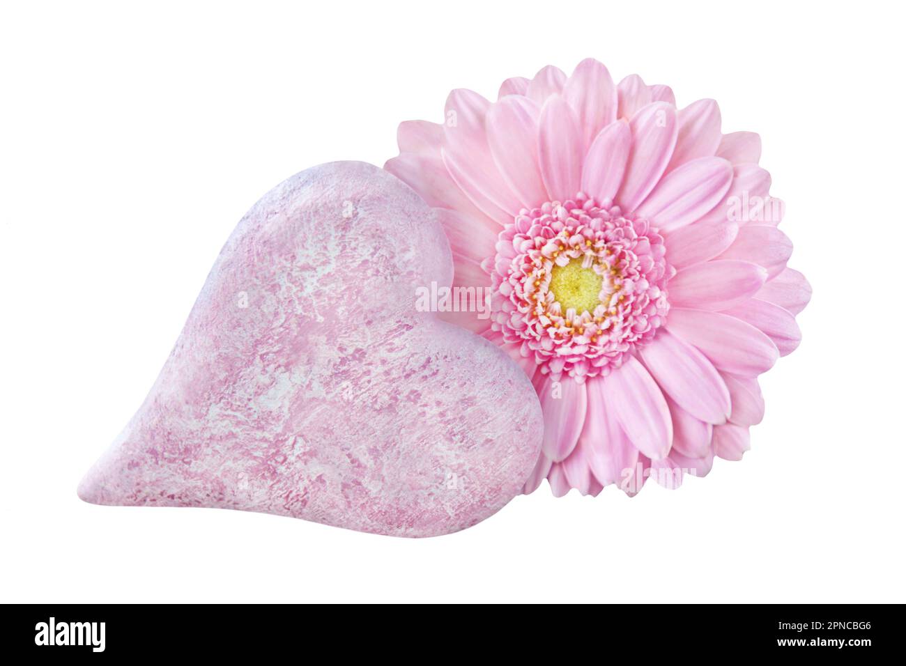 Decoration pink love heart with Gerbera isolated on white background Stock Photo