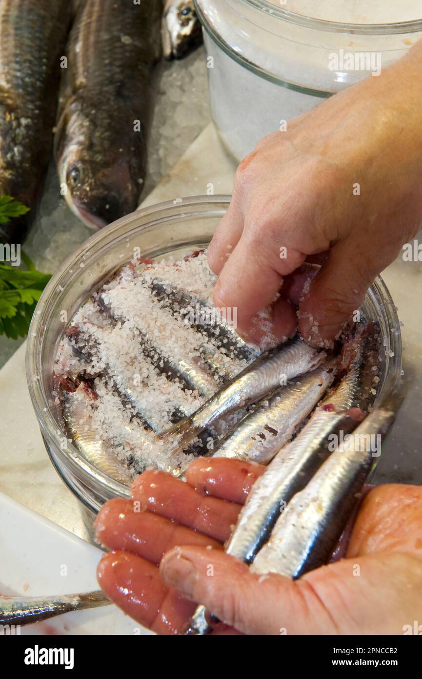 Salting of anchovies at Pescheria Clelia fish market, via Colombo 106
