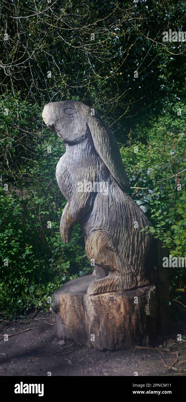 Wooden animal sculpture made by using a chainsaw Stock Photo Alamy
