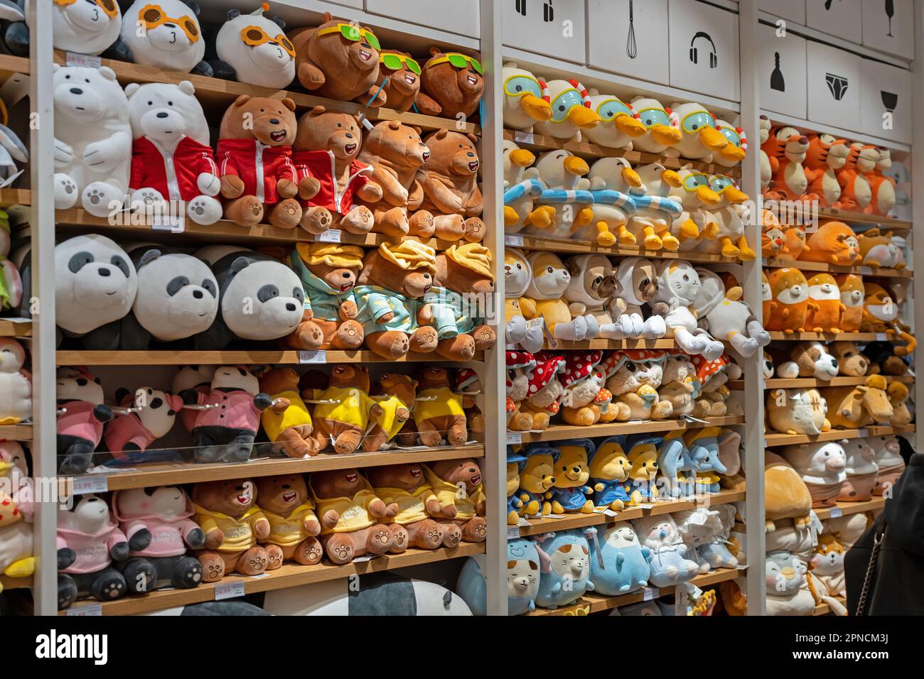 How To Display Stuffed Animals For Adults (2023 Updated)